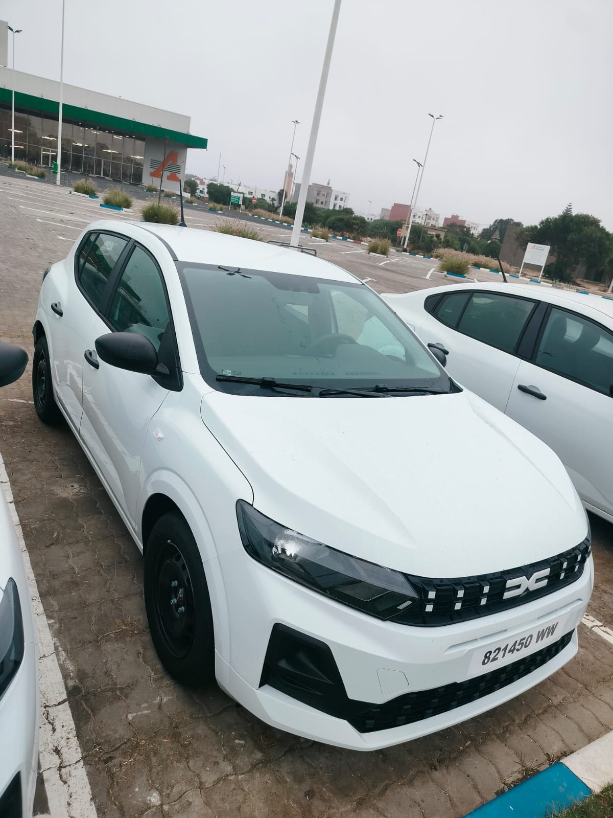 Araucaria Ride Dacia Logan Sandero